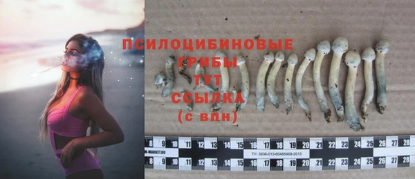 крисы Липки