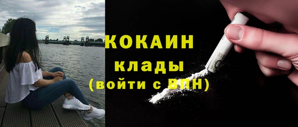 PSILOCYBIN Лихославль