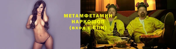 крисы Липки