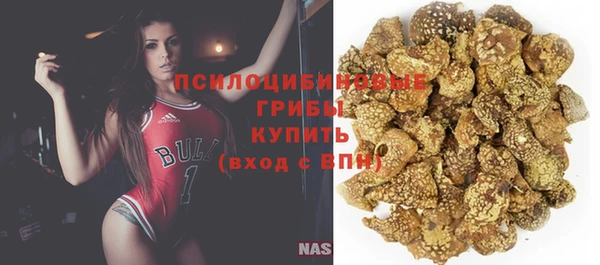 PSILOCYBIN Лихославль