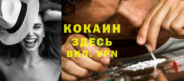 крисы Липки
