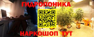 дмт Будённовск