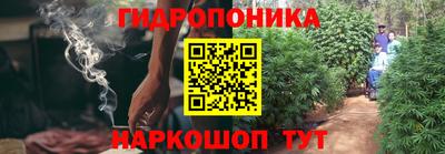 дмт Будённовск