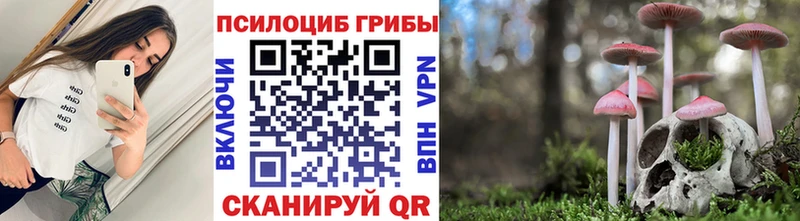 блэк спрут ТОР  цена наркотик  Звенигород  Галлюциногенные грибы Psilocybine cubensis 